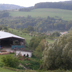 p1010078.jpg