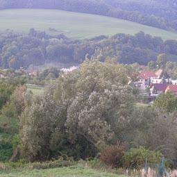p1010077.jpg
